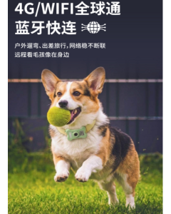 宠物项圈摄像头