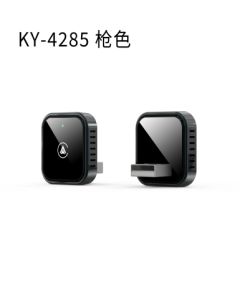 CarPlay