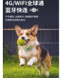 宠物项圈摄像头